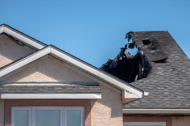 Licensed Fire Damage Removal service in Delano, MN - Fire Damage Biloxi